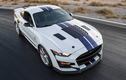 Ngắm Shelby American GT500 “rồng rắn” mạnh hơn 800 mã lực