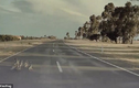 Chạy 100 km/h, Autopilot của Tesla vẫn phanh để cứu cả đàn vịt 