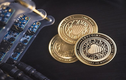 Bitcoin có thể chạm đáy 2.700 USD, liệu ‘bóng ma’ lịch sử có xuất hiện