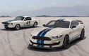 Ra mắt Ford Mustang Shelby GT350 và GT350R bản đặc biệt 