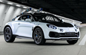 Alpine ra mắt concept rally cho xe thể thao A110 mới