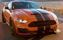 Ford Mustang 2020 sở hữu chữ ký Carroll Shelby hơn 2,9 tỷ đồng