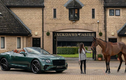 Ra mắt Bentley Continental GT Convertible đặc biệt “Equestrian”