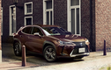 Xe sang Lexus UX250h màu độc cho đại gia Nhật Bản