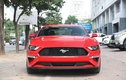 Cận cảnh Ford Mustang 55th Edition hơn 3 tỷ đồng tại Hà Nội 