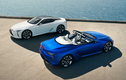 Lexus LC 500 Convertible 2021 sẽ bán ra từ hơn 2,3 tỷ đồng