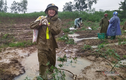 Công an dầm mưa nhổ sắn, dọn bùn giúp dân vùng lũ