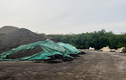 Vụ chôn rác thải quy mô lớn: Chủ tịch tỉnh Bình Dương chỉ đạo xử lý
