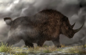 Khám phá loài tê giác cổ đại nặng gần 3 tấn, sừng dài 1,5 mét