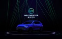 Thương hiệu ôtô điện WM Motor của Trung Quốc thăm dò thị trường Việt