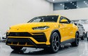 "Bò vàng" Lamborghini Urus hơn 22 tỷ đồng mới về Việt Nam