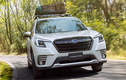 Subaru Forester "đại hạ giá" tới 279 triệu tại Việt Nam, kéo doanh số