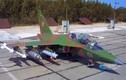 Yak-130 và L-159B: ứng viên nào phù hợp với Việt Nam?