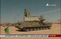Ai Cập sở hữu sát thủ phòng không Buk-M2, Tor-M2 Nga?