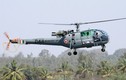 Vợ sĩ quan Ấn Độ đòi bỏ trực thăng Cheetah, Chetak