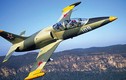 Mỹ tham gia nâng cấp máy bay L-39 Việt Nam có dùng