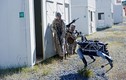 Sức mạnh robot chiến trường Bigdog của Quân đội Mỹ