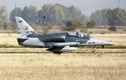 Chiến đấu cơ L-159 đã tới Iraq tham chiến chống IS