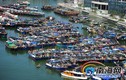 Trung Quốc ngang ngược cấm đánh bắt cá ở Biển Đông