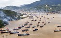 Hàng ngàn tàu cá Trung Quốc tràn vào Biển Đông 