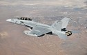 Chiến đấu cơ tác chiến điện tử EA-18G Growler mạnh ra sao ?