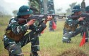 AK-47 của Việt Nam là súng trường hay súng tiểu liên?
