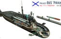 Vì sao Việt Nam nên mua tàu ngầm Piranha-750?