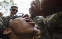 Video: Đặc nhiệm Indonesia trổ tài uống máu rắn đón Bộ trưởng Mattis