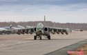 Điều gì khiến "lão tướng" Su-25 luôn dũng mãnh trên chiến trường