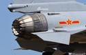 Lộ diện biến thể J-10 với động cơ vector 3D, F-16 đã là quá khứ?