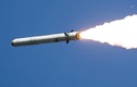 Vì sao NATO “cầu xin” Nga loại biên chế tên lửa 9M729 Iskander-K? 