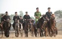 Điều chưa biết về Đoàn Cảnh sát cơ động Kỵ binh Việt Nam 