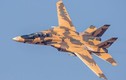 Iran quyết tâm sao chép "Mèo đực" F-14 của Mỹ: Liệu có thành công?