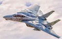 Đã rõ lý do Mỹ phá hủy tất cả chiến cơ "huyền thoại" F-14 Tomcat