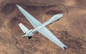 Ấn Độ không mua UAV MQ-9B Reaper của Mỹ vì giá đắt cắt cổ 