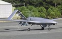 Liệu Nga có thể tiêu diệt UAV ở Nagorno-Karabakh trong một ngày?