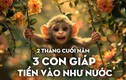 2 tháng cuối năm, 3 tuổi Thần Tài điểm danh, tiền vào ào ào