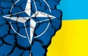 Vì sao NATO, Ukraine vội vã tập trận?