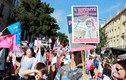 Pháp: Tuần hành phản đối đẻ thuê cho gia đình đồng tính