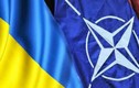 Cựu Tư lệnh NATO: NATO không cần Ukraine