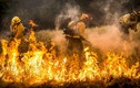 Cháy rừng dữ dội ở California, hàng nghìn người sơ tán