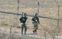 Nổ tại khu phi quân sự DMZ ở biên giới liên Triều