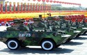 Quân đội hơn 10 nước tham dự lễ diễu binh với TQ