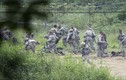 Vì sao Mỹ-Hàn ngừng tập trận?