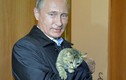 TT Putin thừa nhận Nga hỗ trợ Quân đội Syria
