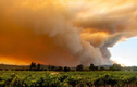 Cháy rừng ở California: Lính cứu hỏa bị...trộm ví khi đang dập lửa