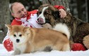 Những chú chó nổi tiếng của Tổng thống Vladimir Putin