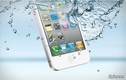 Nên và không nên làm gì khi iPhone, iPad dính nước?