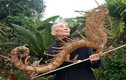 Kinh ngạc bộ sưu tập rễ tre của cụ ông 91 tuổi