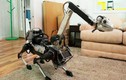 Video: Bất ngờ khi chó robot gặp chó thật